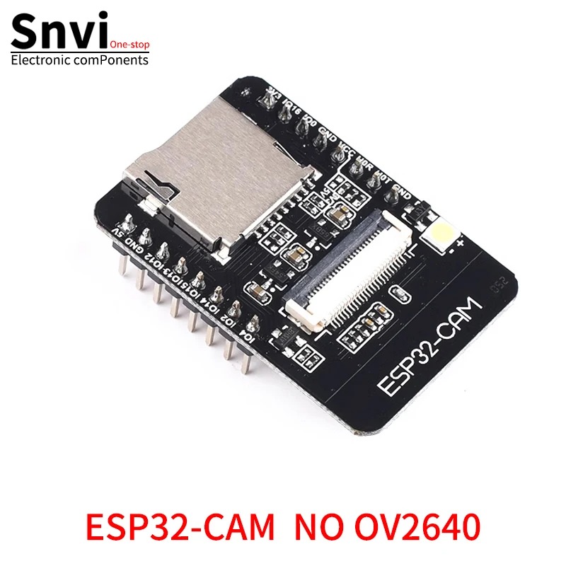 ESP 32